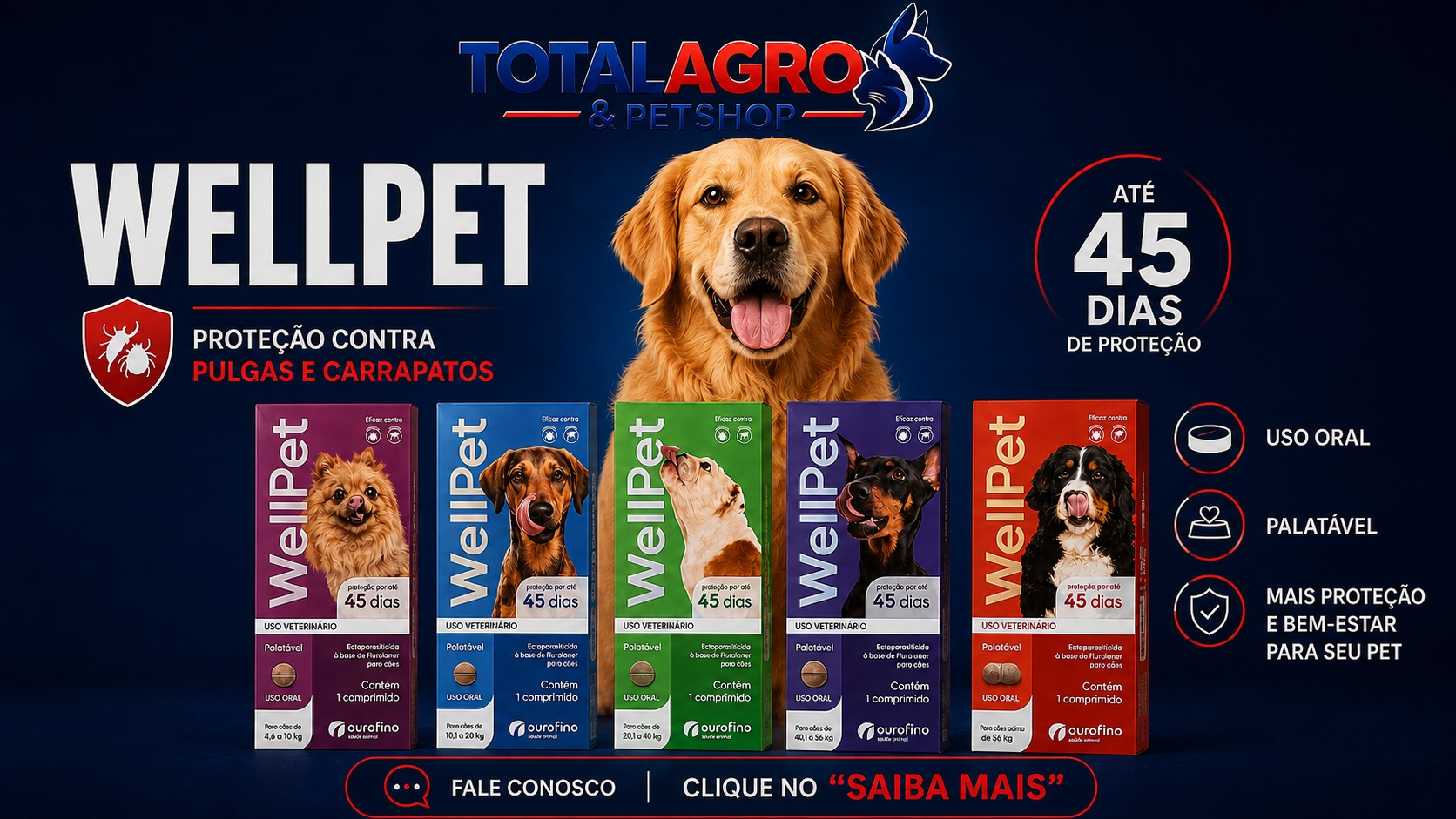 Oferta Especial 2